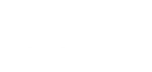 Nerdordie logo